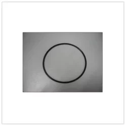 GUARNIZIONE IN GOMMA PER POMPA A SABBIA 11232 INTEX